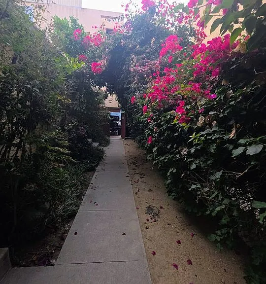 632 Santa Clara Ave #A — Photo 21