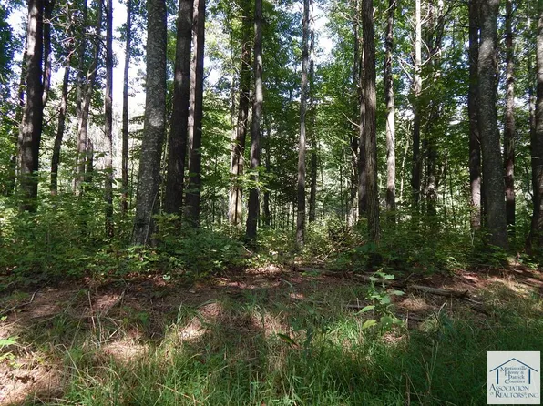 0 Ramp Hollow Ln, Meadows Of Dan, VA 24120