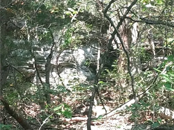 Young Rd S, Harrison, AR 72601