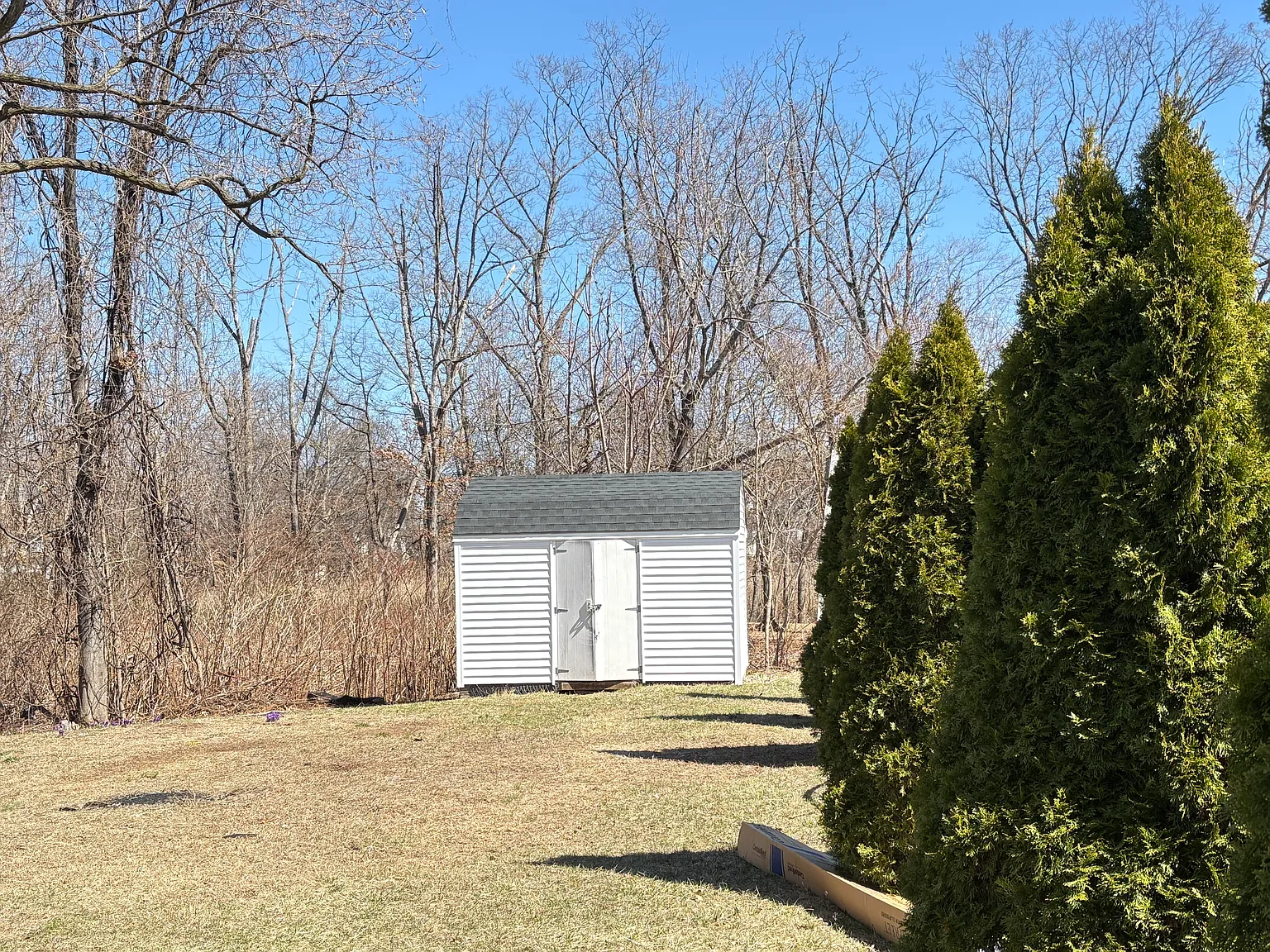 4 bed, 1348 sqft, $3,200 — Photo 4