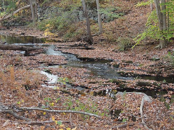 Lydall Brook passes in front of the unit. Leave the windows open and listen to the water.