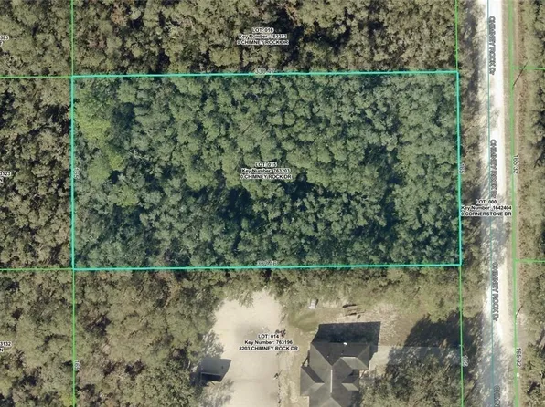 8223 Chimney Rock Dr, Webster, FL 33597