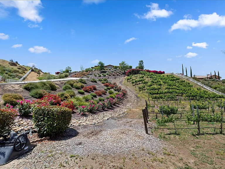 37605 Via De Los Arboles — Photo 40