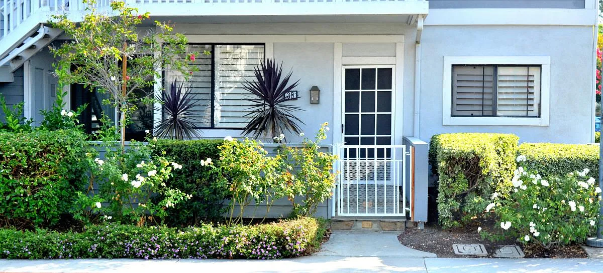 2 bed, 1000 sqft, $3,400 — Photo 3