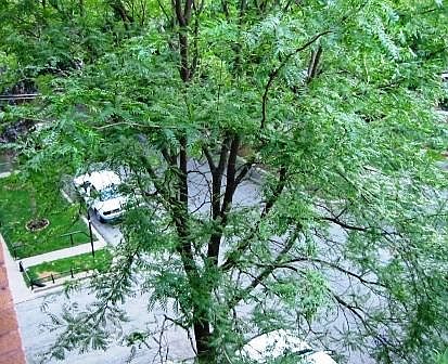 5th image of 2307 W Cortez St APT 3