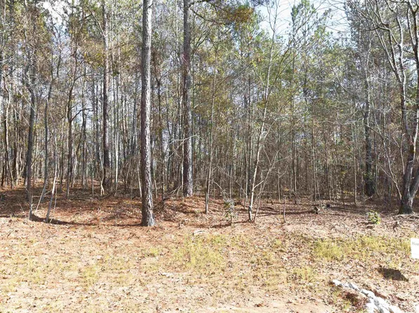 13 Woodland Trl, Newnan, GA 30263