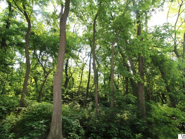 64800 Bluff Dr, Brownville, NE 68321