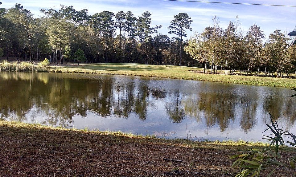 backyard view with huge pond