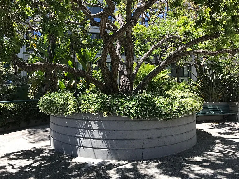 Private garden for residents