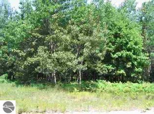 0 Canthook Dr, Manton, MI 49663