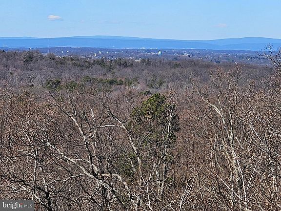 3rd image of 156 Ray Ridge Ln