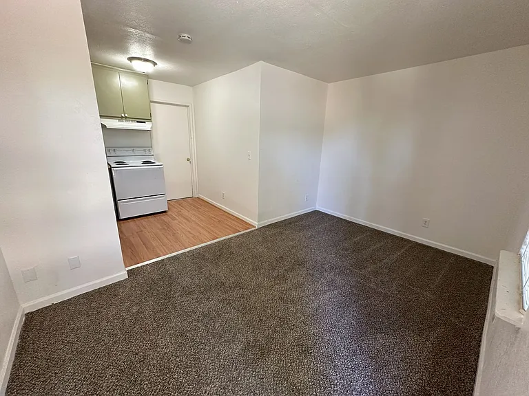 304 Birch St #3 — Photo 4