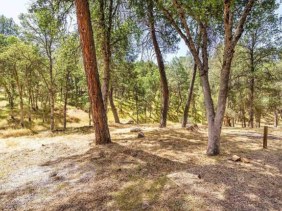 2nd image of 12874 Green Valley Cir Unit 3