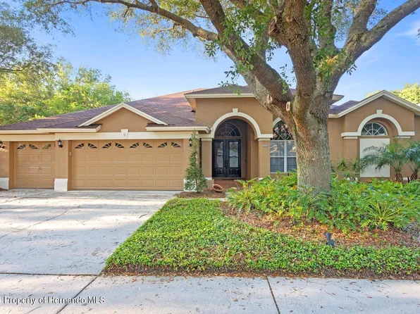 4609 Mirabella Pl, Lutz, FL 33558