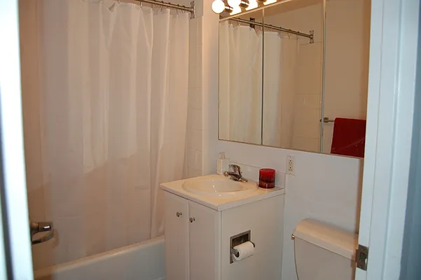 Rented by NY Living Solutions | media 4