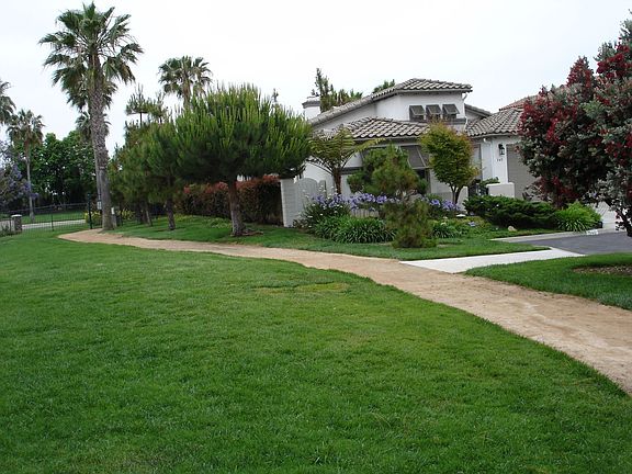 Sideview walking trail