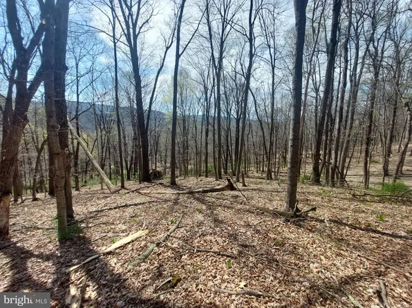 B 76 Timberline Dr, Wardensville, WV 26851