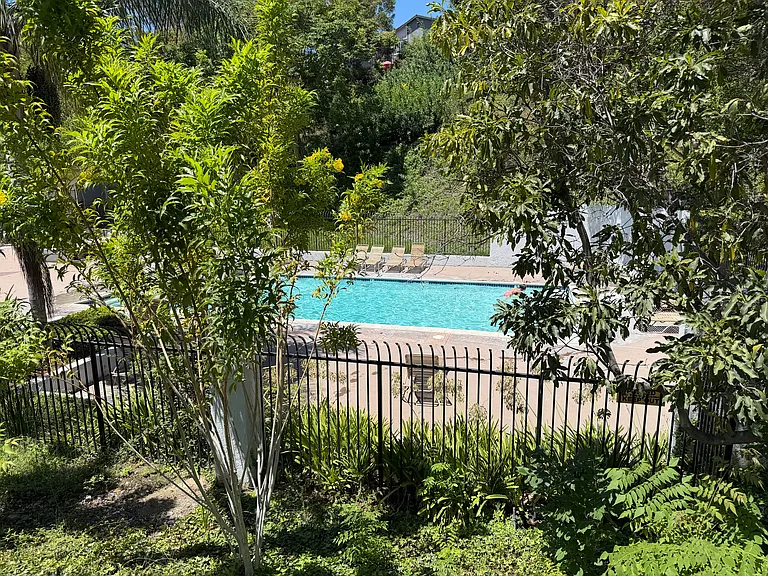 6473 Shady Lawn Dr #6 — Photo 24