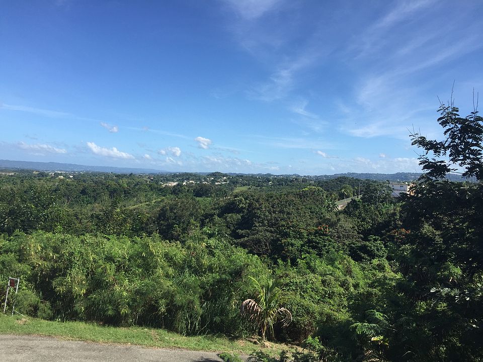 Beautiful view of the beach