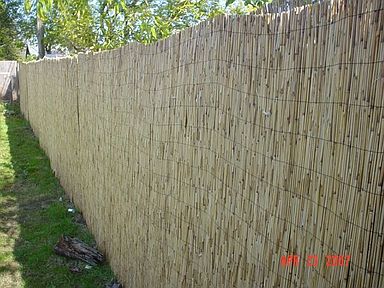 new reed fence