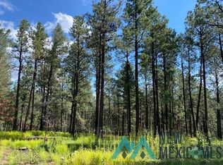 167 La Gaviota Ct, Rociada, NM 87742