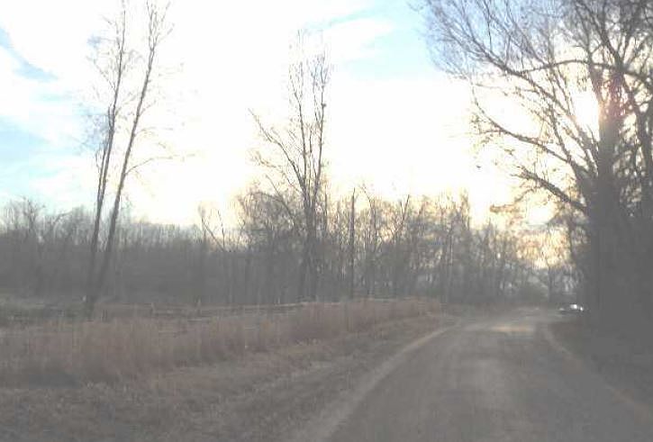 2nd image of 11289 Corinth Rd