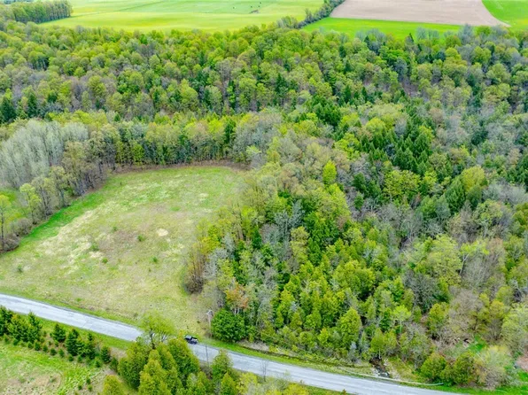 Shephard Rd, Cazenovia, NY 13035
