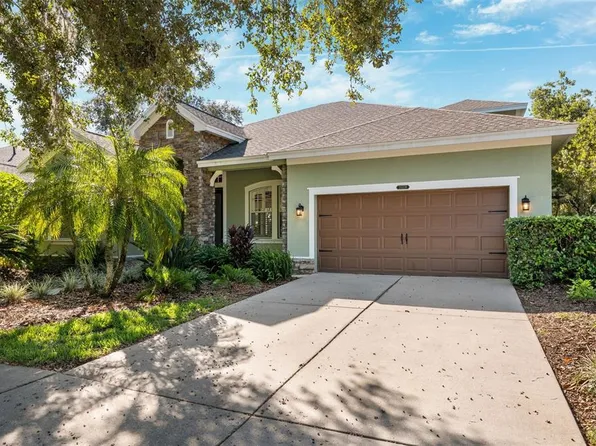 20338 Rose Cottage Way, Land O Lakes, FL 34637