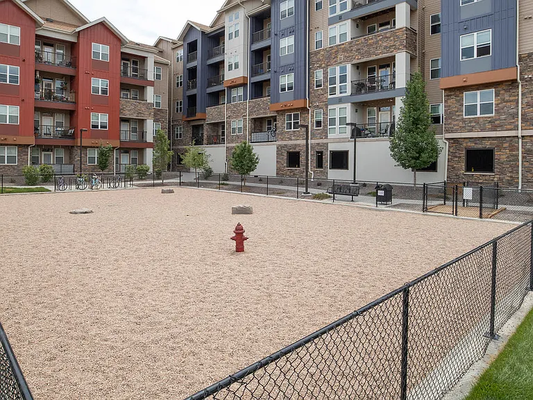 On-Site Dog Park