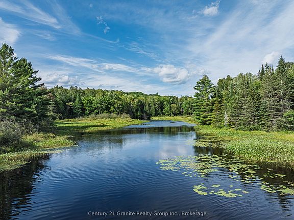 3rd image of 1241 Koshlong Lake Rd