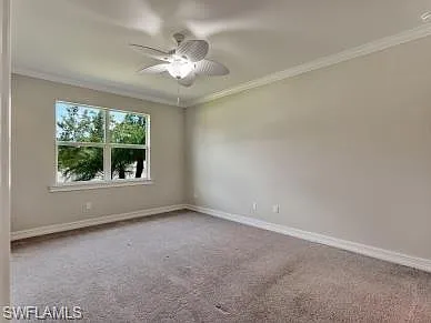 259 Tamarindo Ln — Photo 25