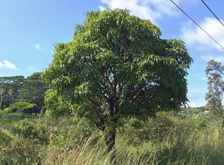Lot 1142 13th Ave, keaau, HI 96749
