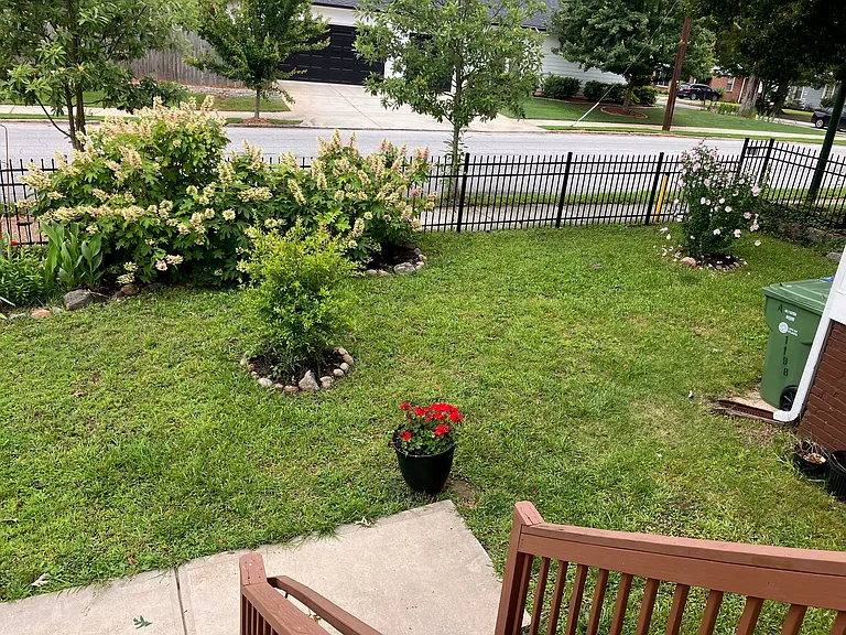 Rear Deck Garden