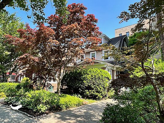 1st image of 109-24 Park Ln S #2