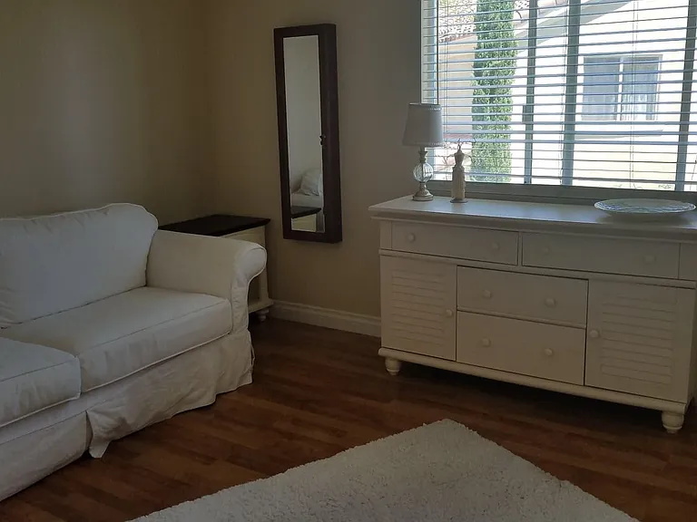 Guest bedroom - pullout couch