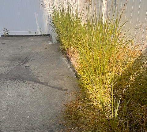 4th image of 3256 Landmark St APT A5