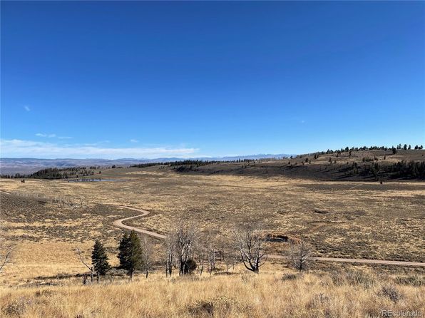 297 Uncompahgre Drive, Powderhorn, CO 81243