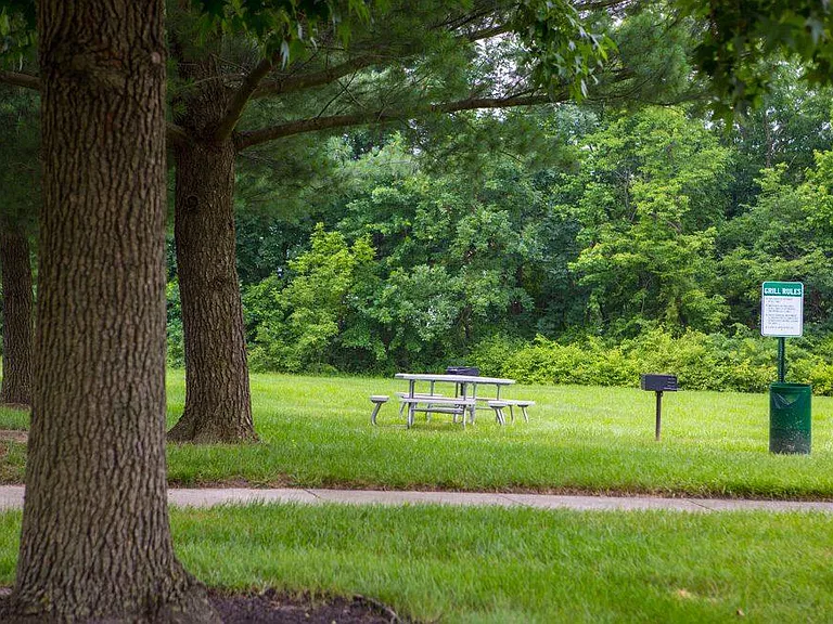 Picnic Area