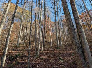 Brush Run Rd, Mannington, WV 26582