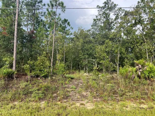 7180 N Henderson Way Lot 3, Dunnellon, FL 34434
