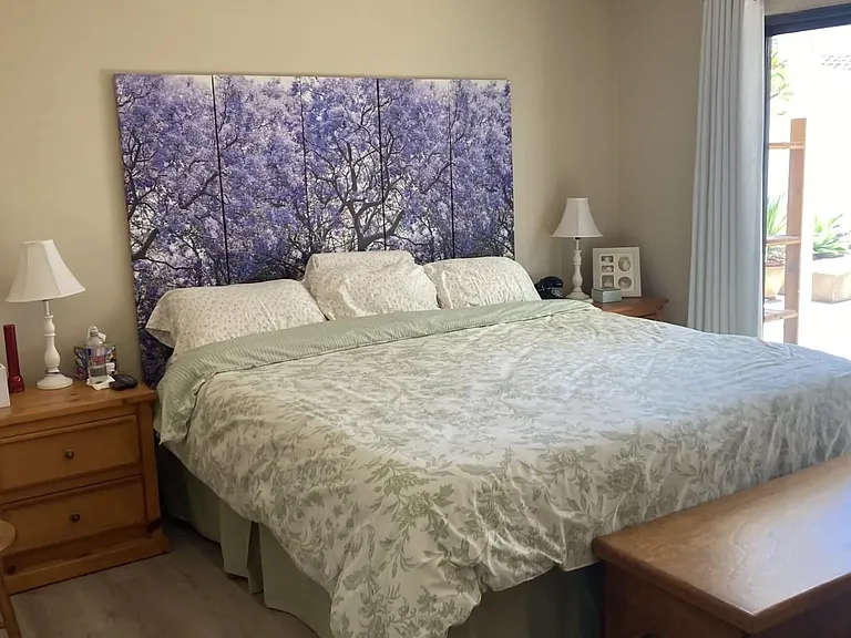 8809 Calle Perico — Photo 13