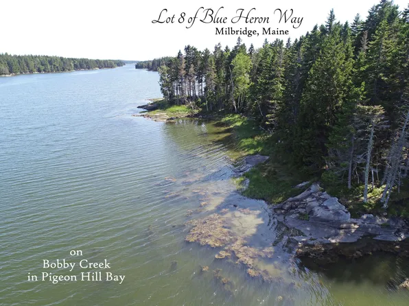 Lot 8 Blue Heron Way, Milbridge, ME 04658