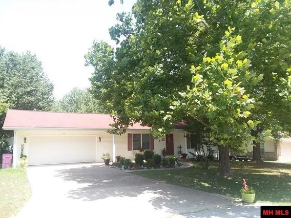 221 Atkins St, Mountain Home, AR 72653