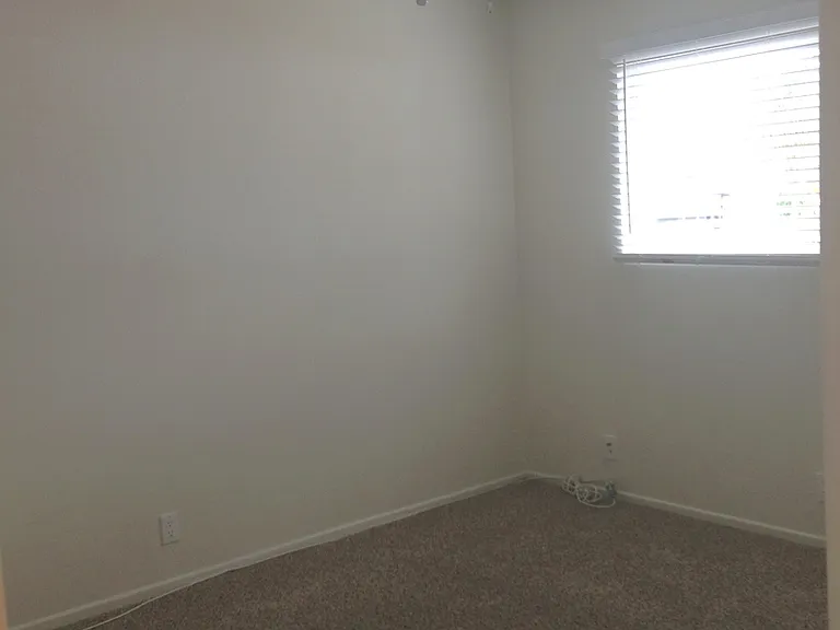 393 Magnolia Ave — Photo 5