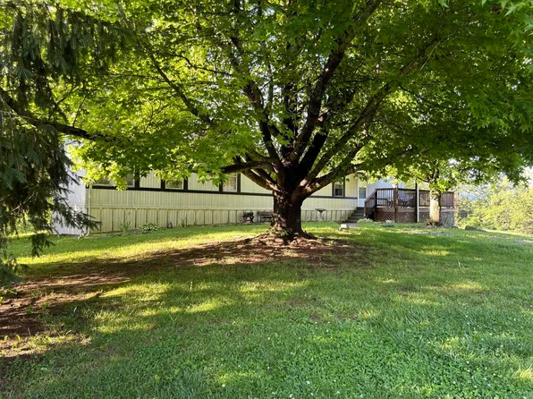465 Elburnell Dr, Eagle Rock, VA 24085