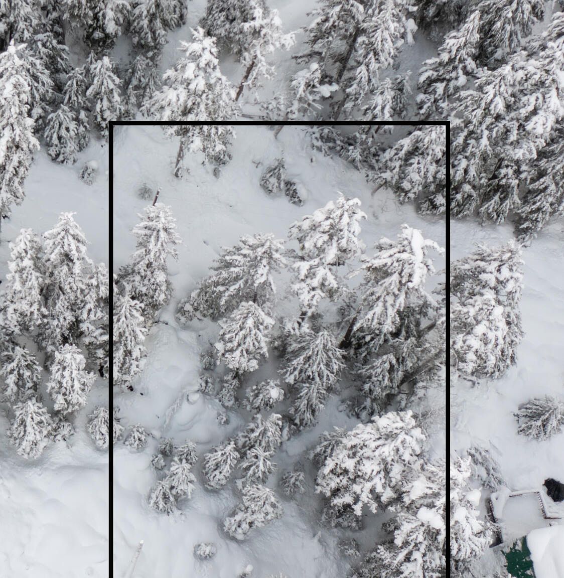 198 Higher Ter, Girdwood, AK 99587 Zillow