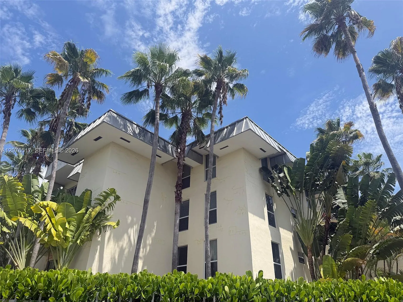 Palms Of Pinecrest Condo — Photo 3