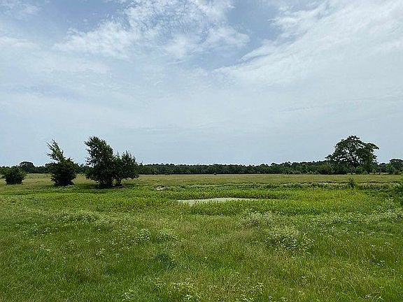5th image of 7010 County Road 248