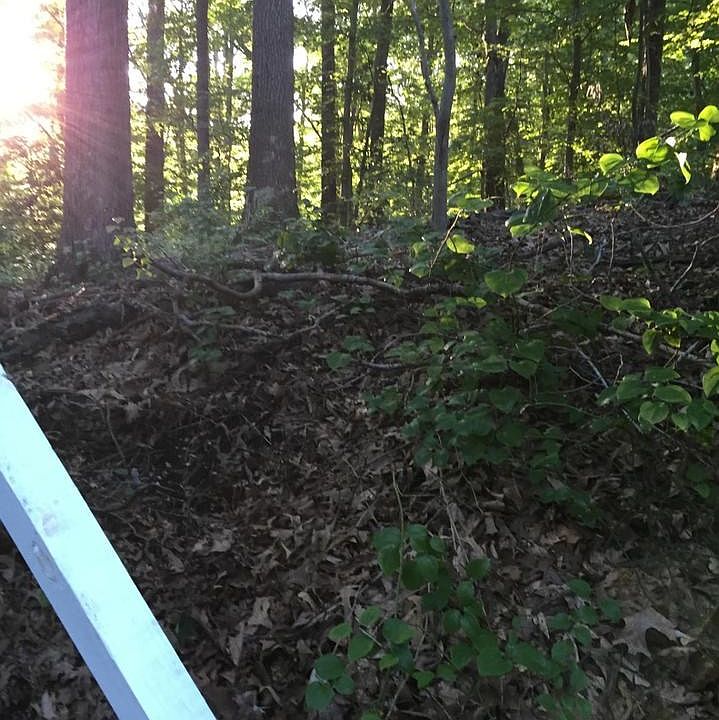 Land