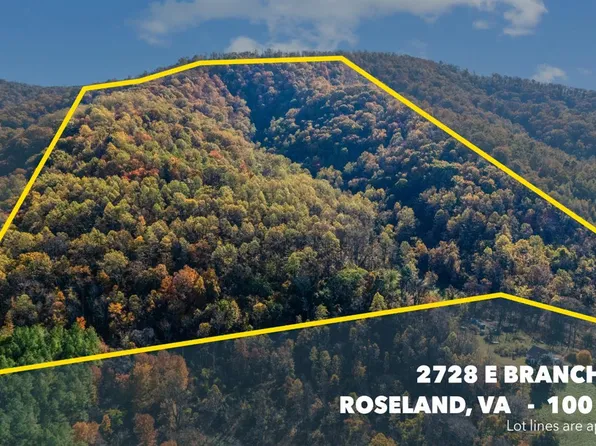 2728 E Branch Loop, Roseland, VA 22967